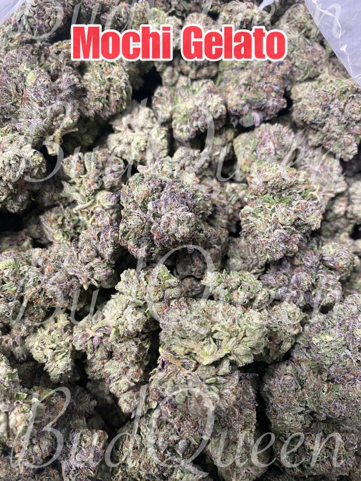 30574AB6-F659-444F-B74B-A844CDCE6BBC