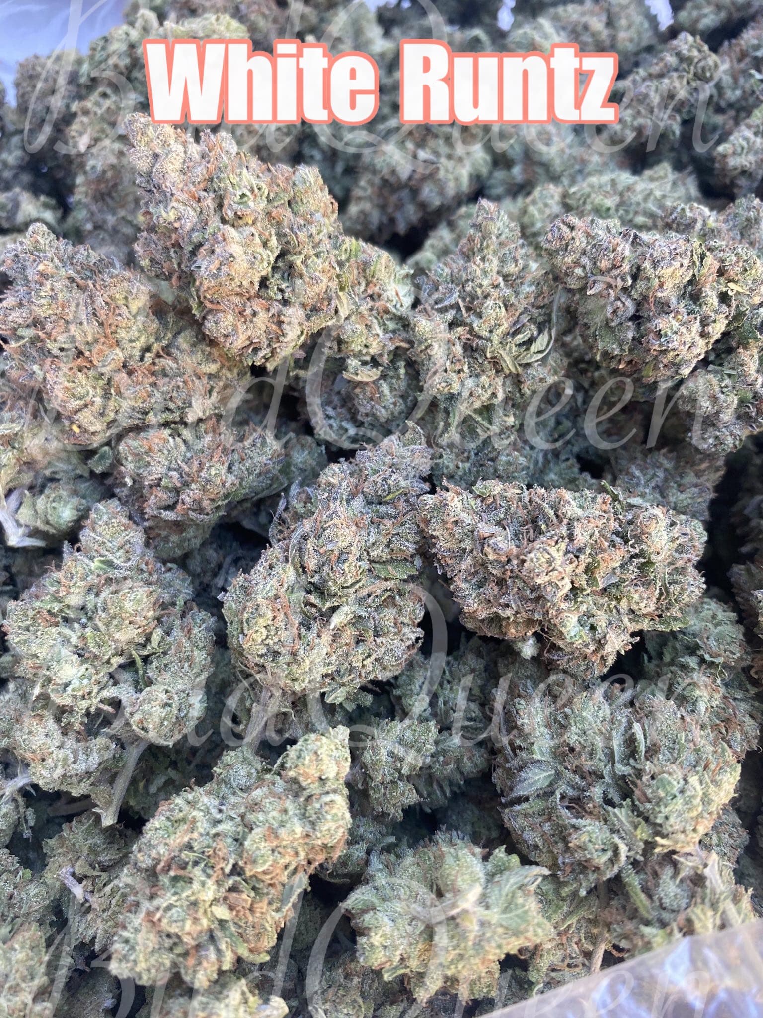 FC700210-3E28-40CC-A1C7-92822E2B69B5