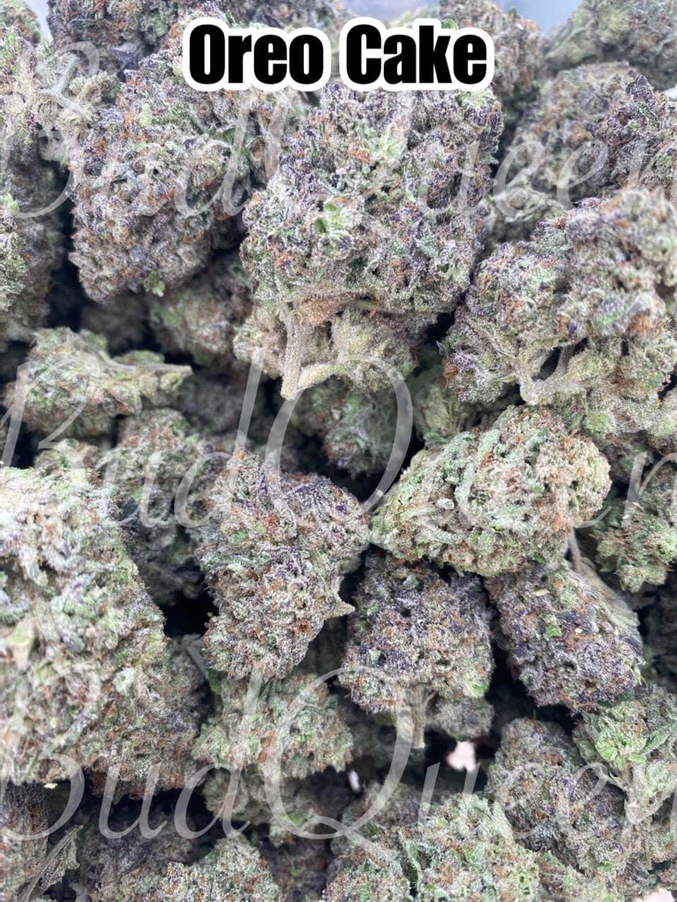 5157718C-7ECA-4DC2-B766-D244989A2735