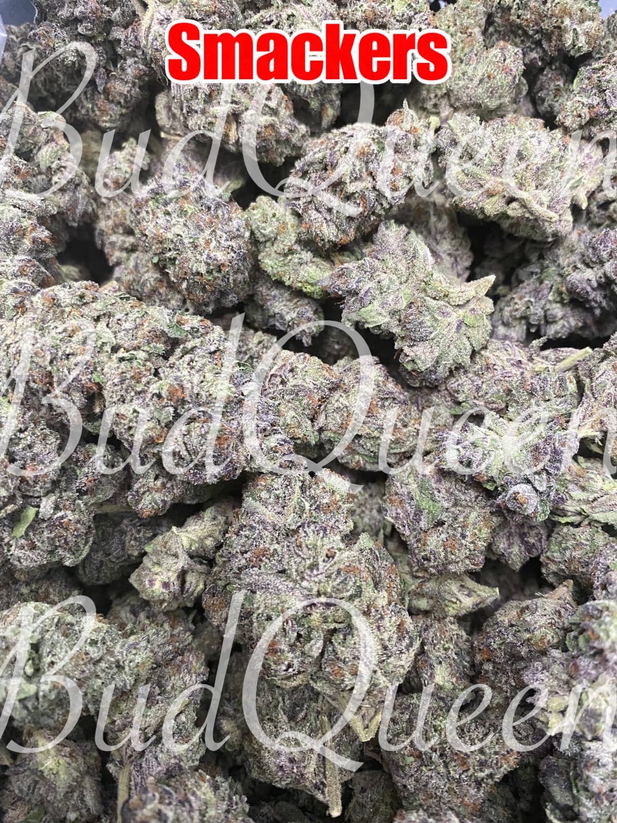 7DBBC871-E1F3-4207-B602-0B8ECBA049C3