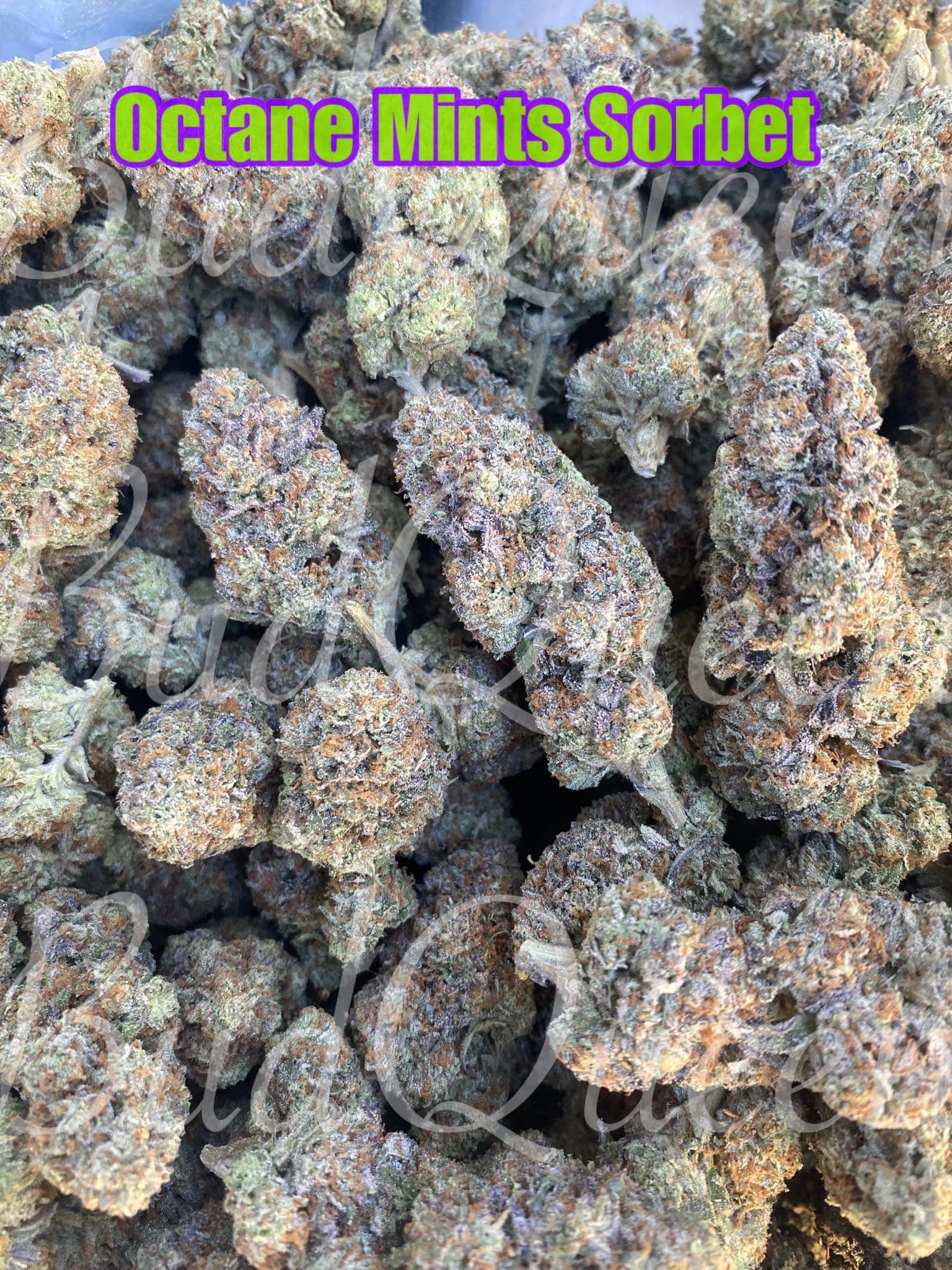 E096581E-A29F-4C72-BA4C-F078ED985E22