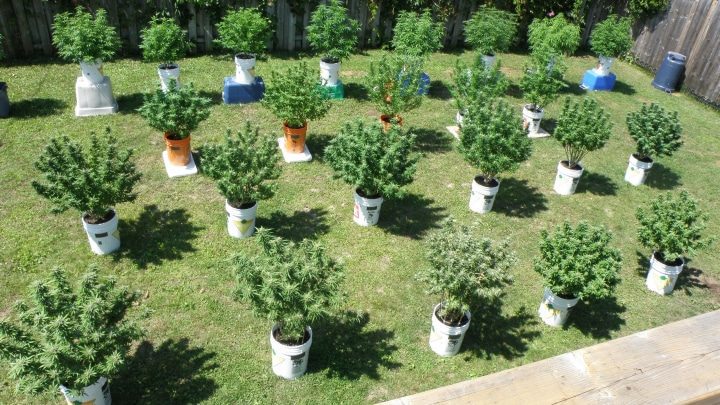 THUMB_720_159684959779680