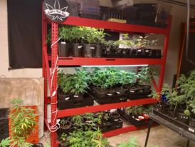 368564990_254171537449003_8059541853383581565_n