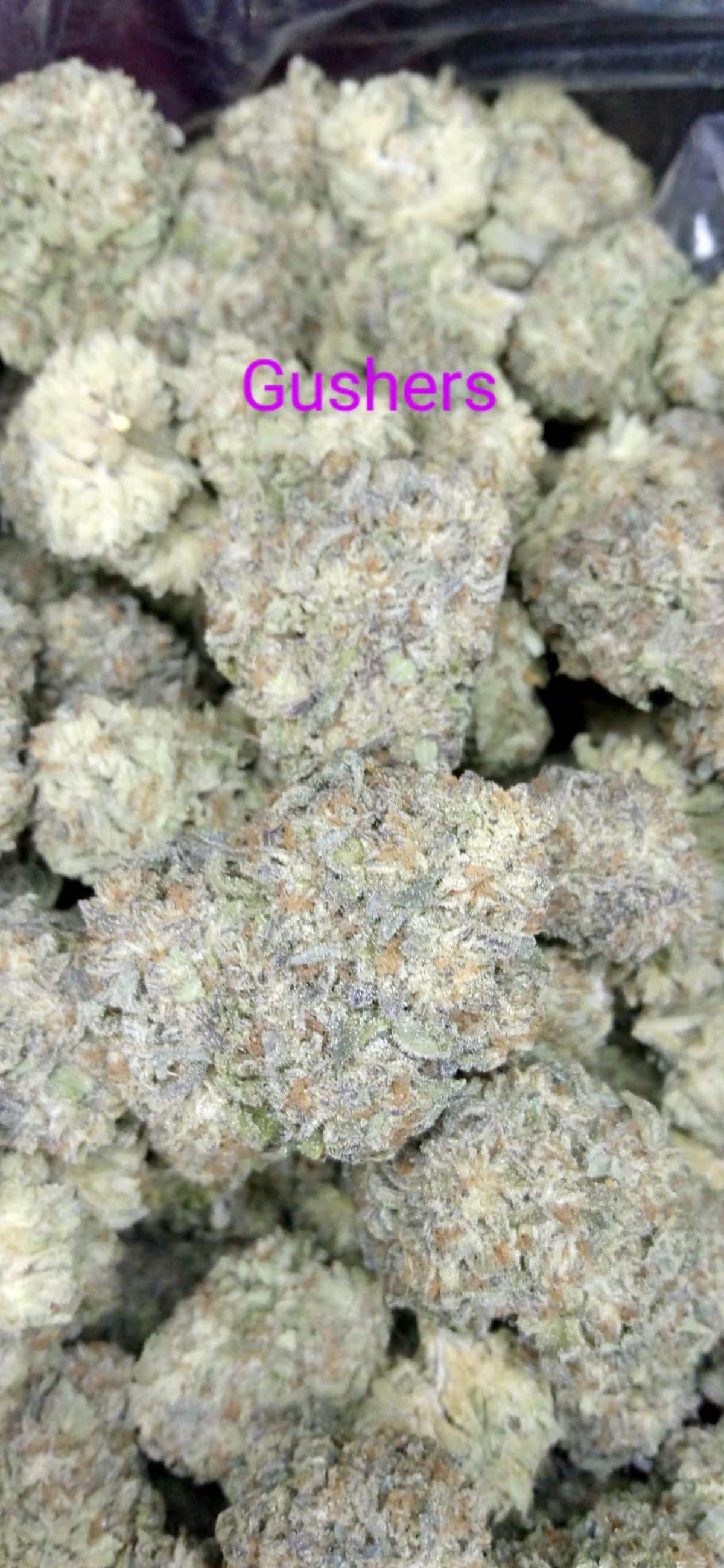 IMG_20240208_211344~2