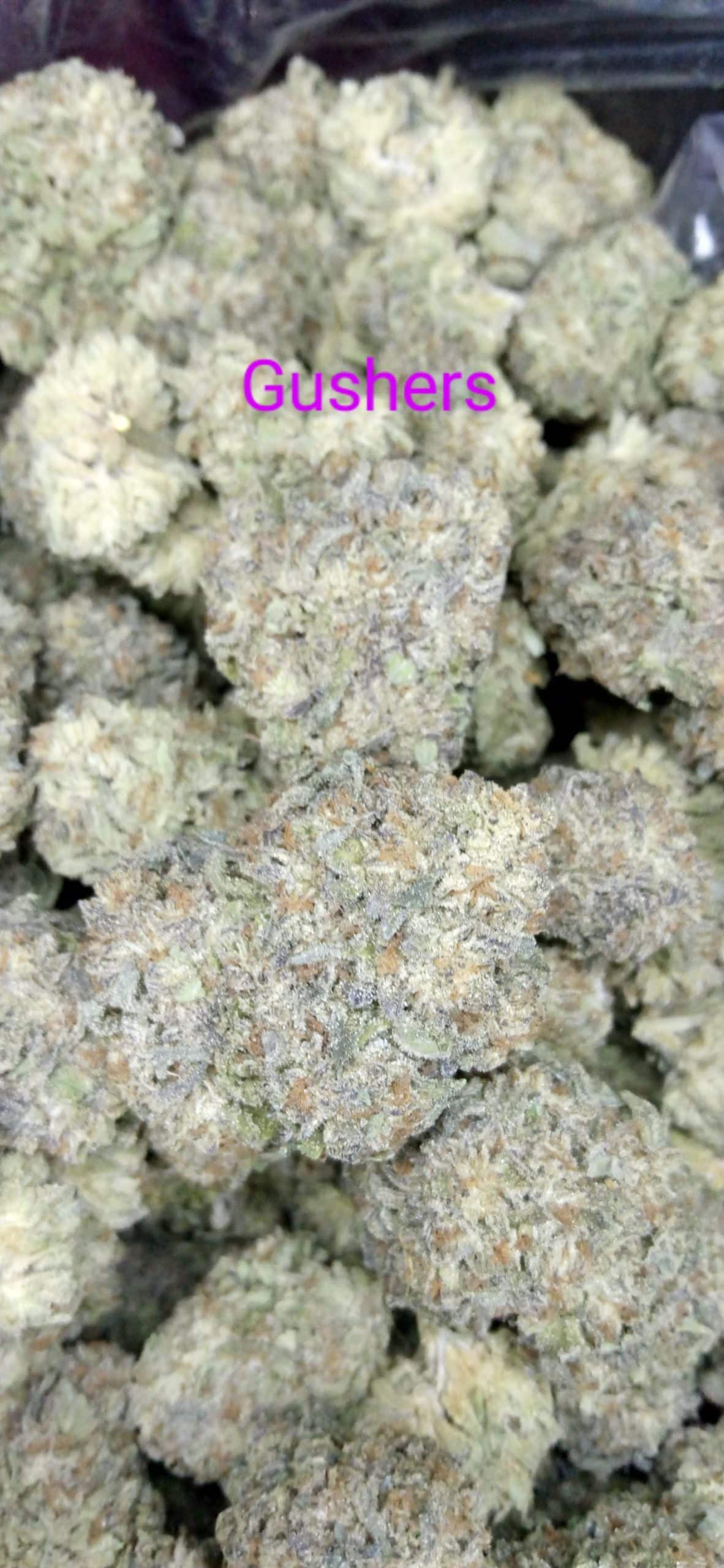 IMG_20240208_211344~2