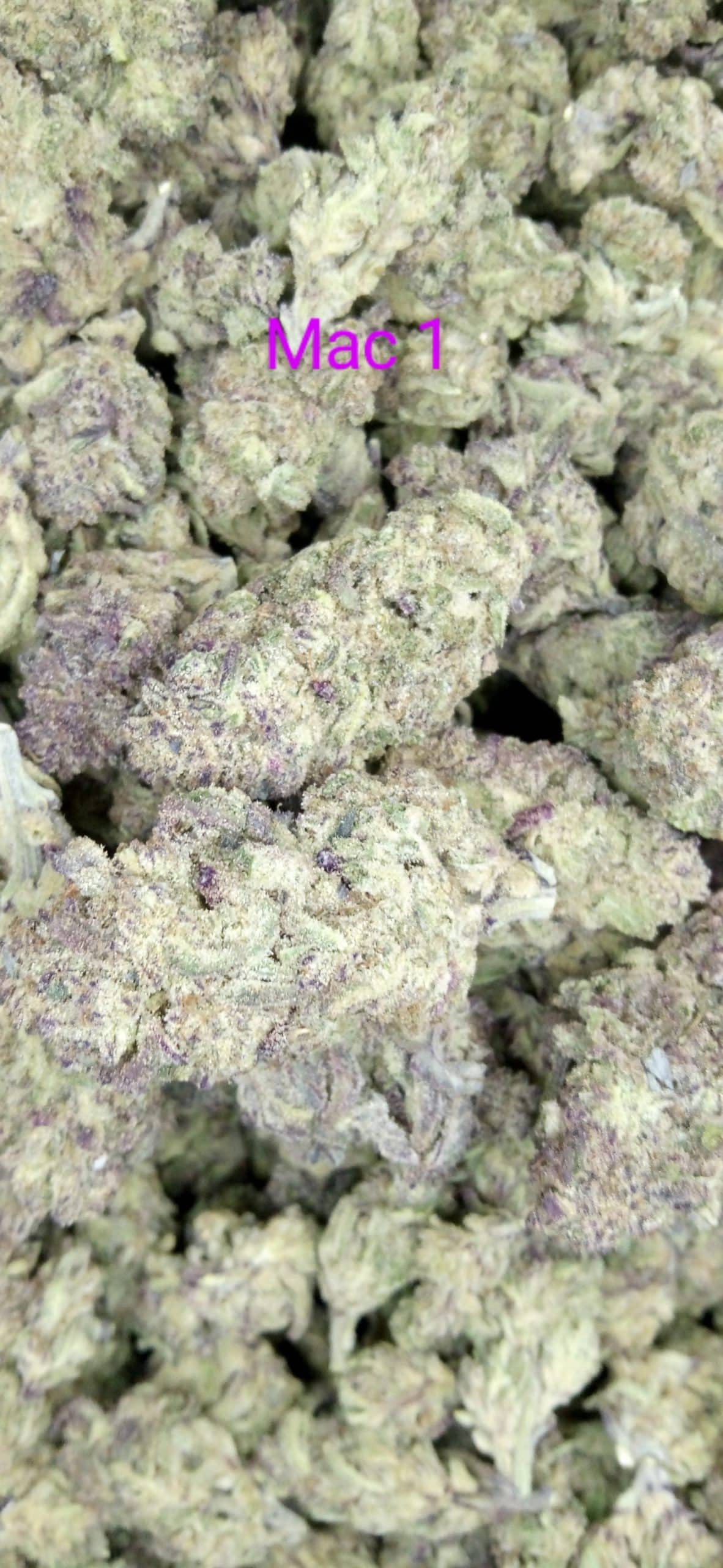 IMG_20240208_210415~2