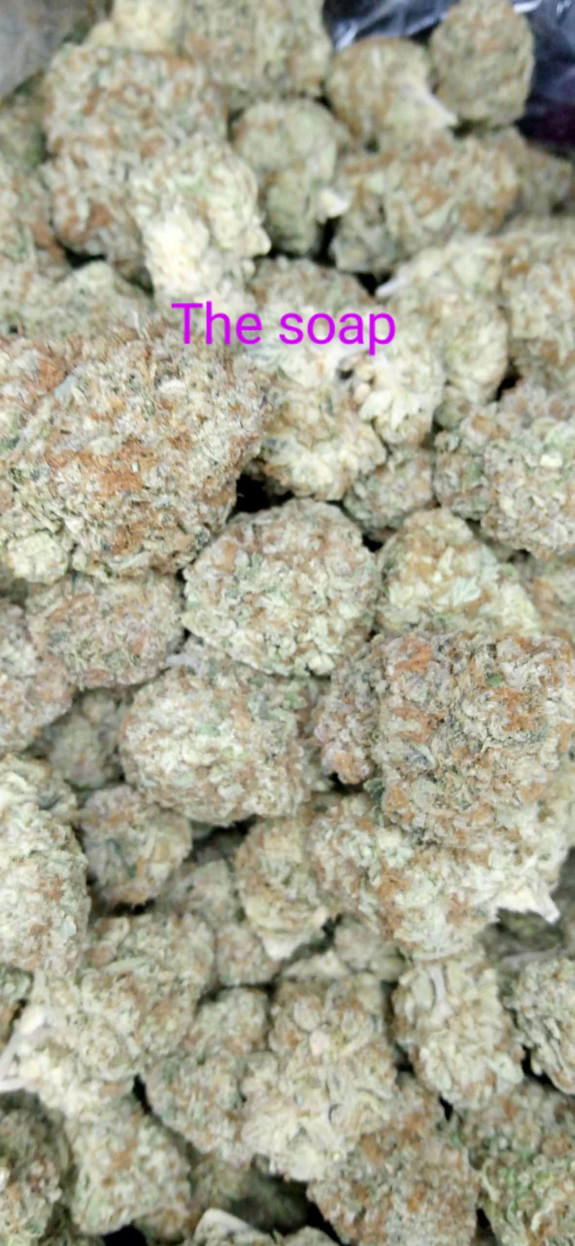 IMG_20240208_212046~2