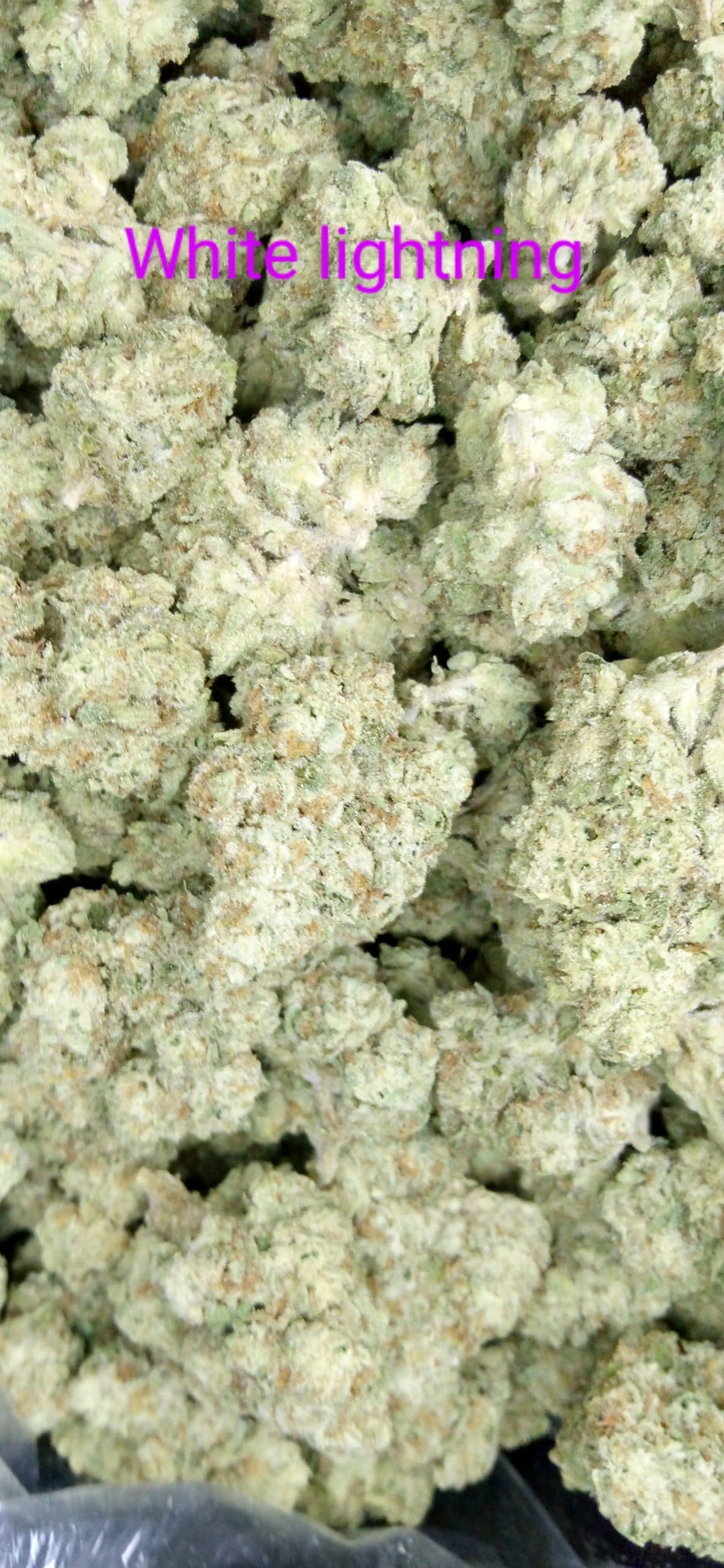 IMG_20240208_204215~2