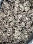Galactic Warheads