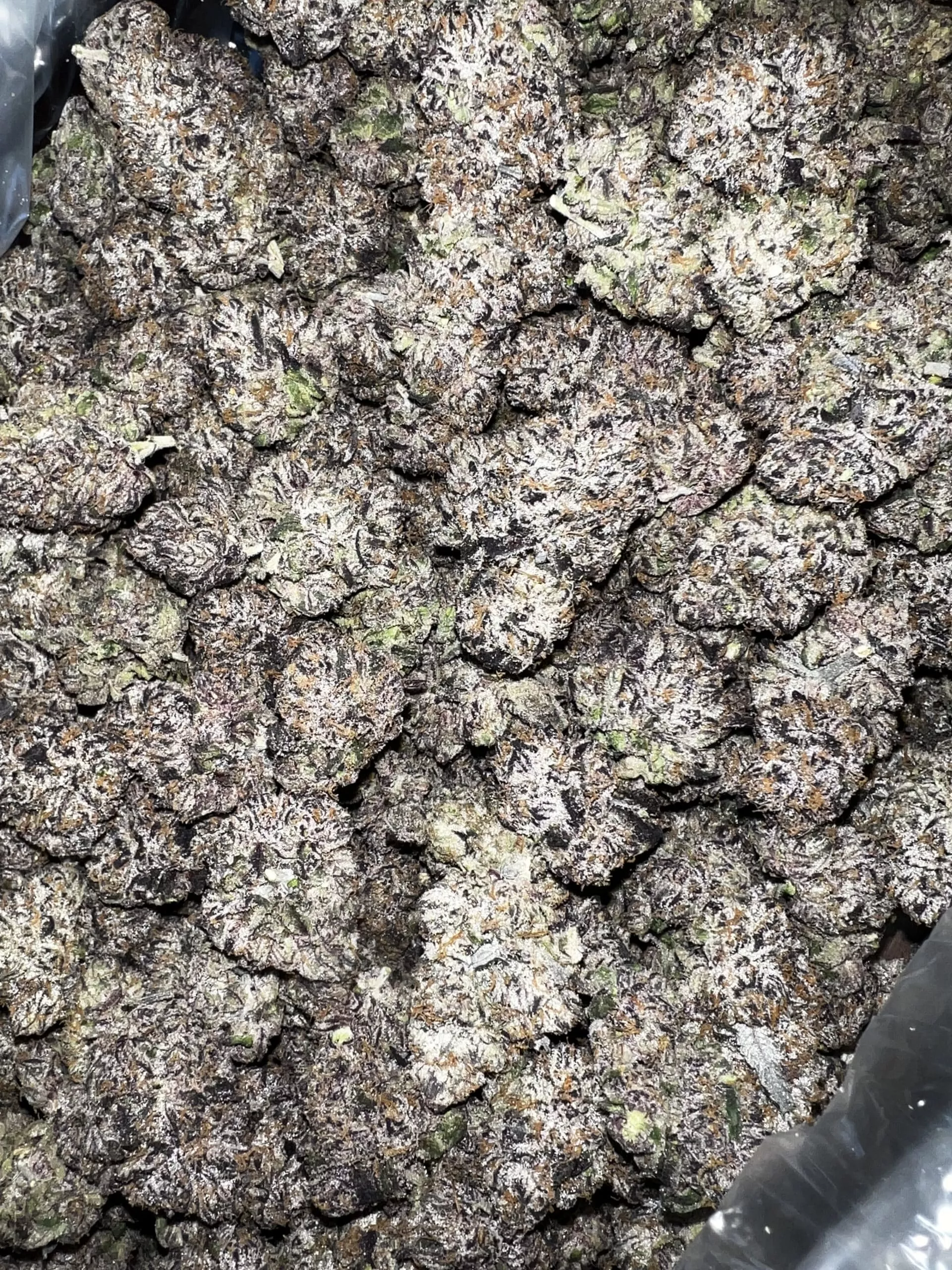 Galactic Warheads