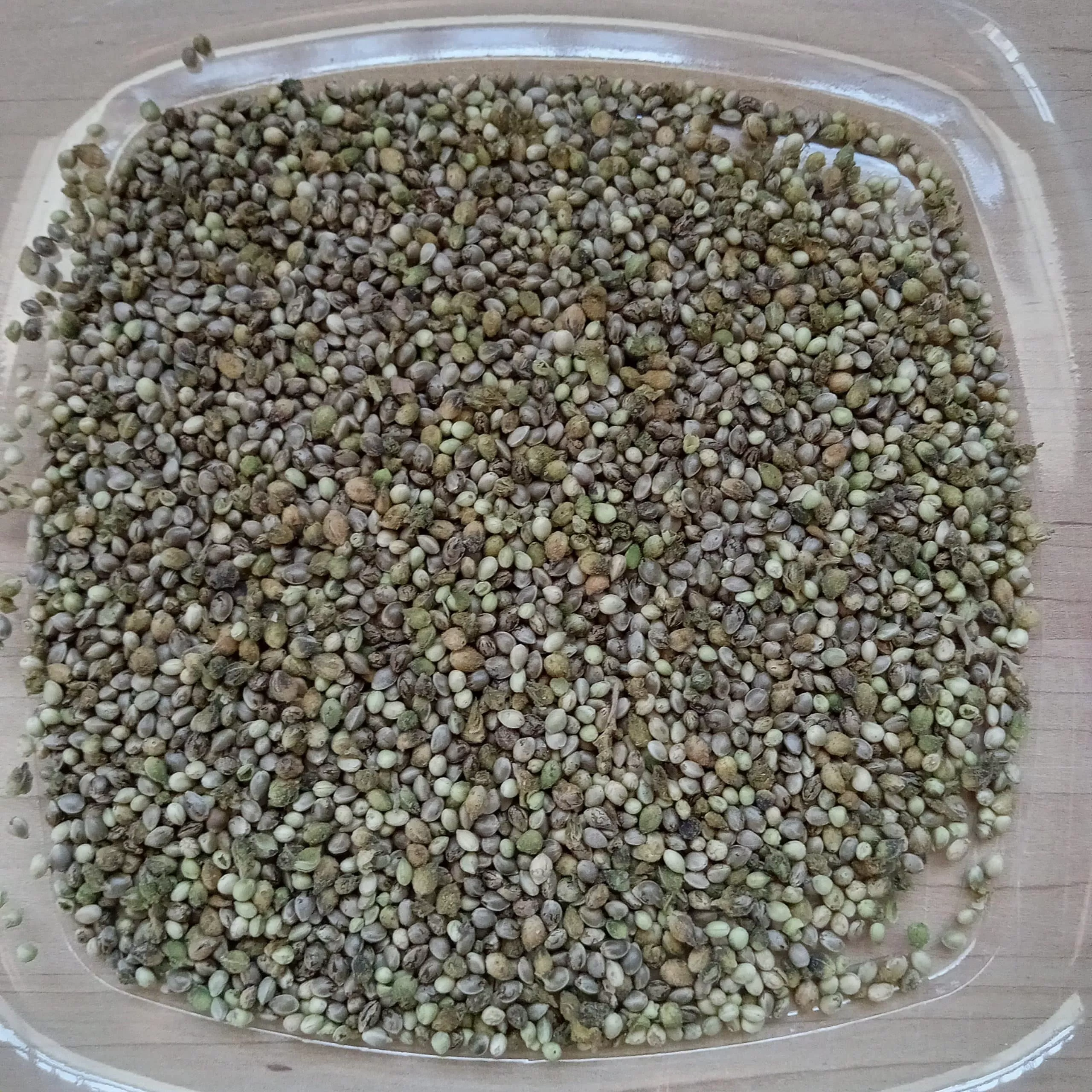 Fem Seed