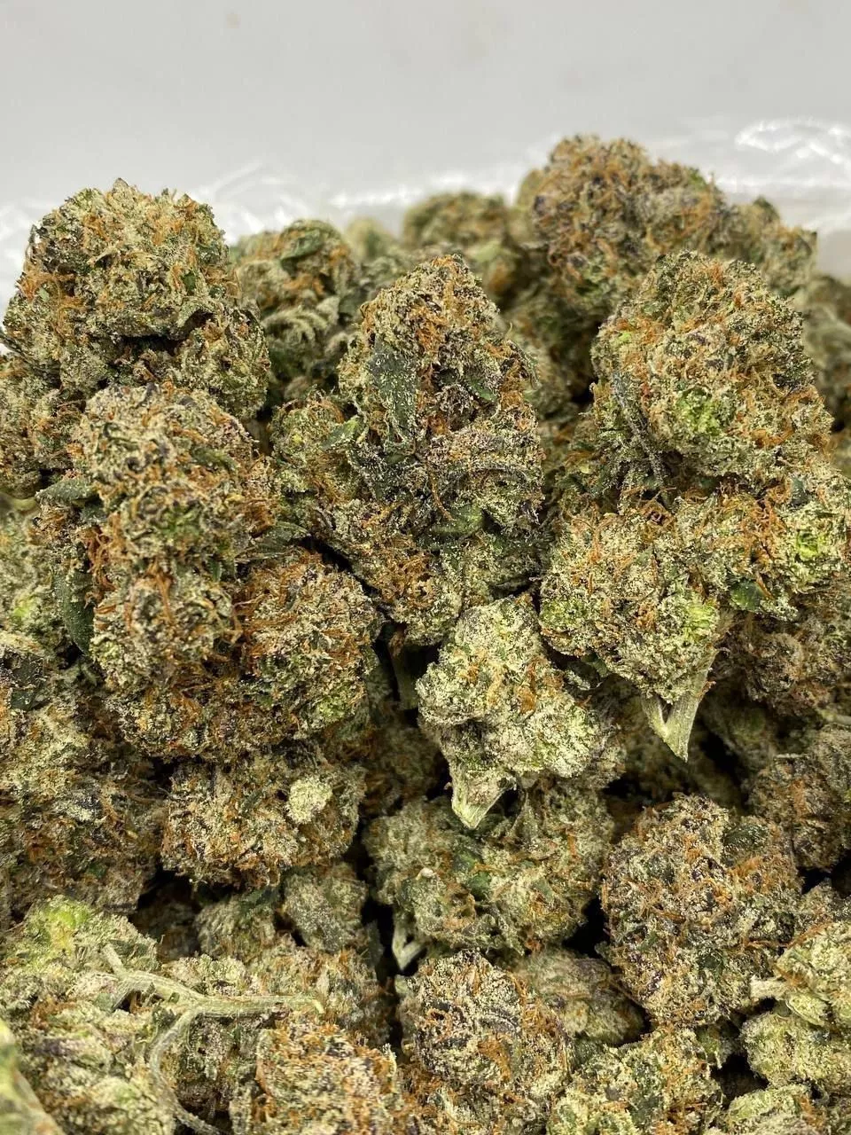 olg1