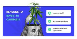 cannabisgroupimage