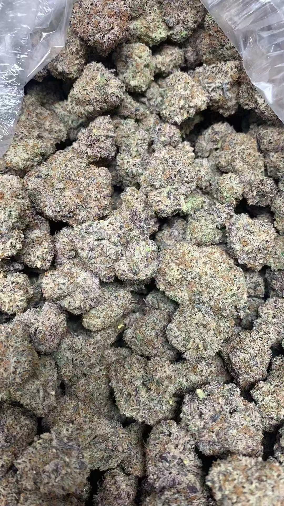 9a2ecf1b0b939468087c3bff7dd08a30