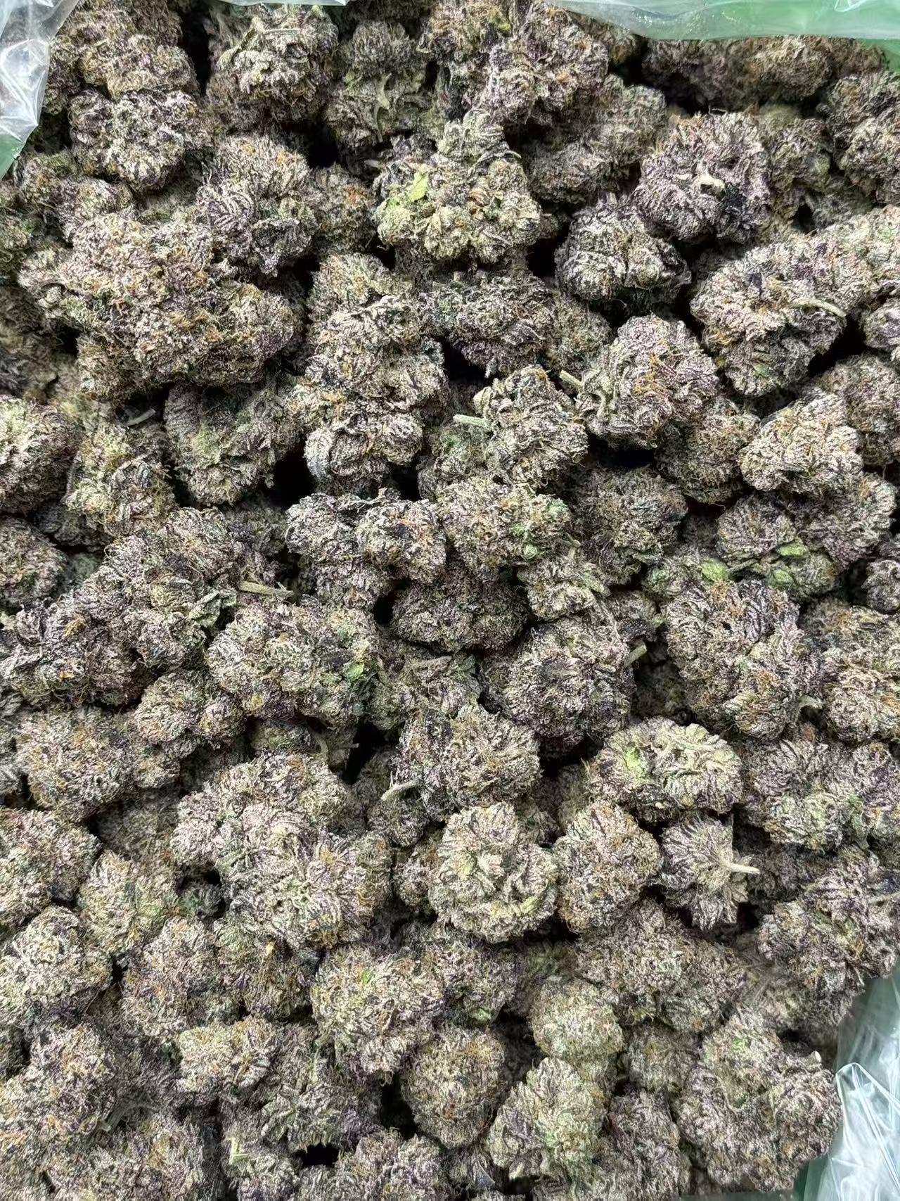 6ad8cffb374059ea26642ecf0eacbb6b