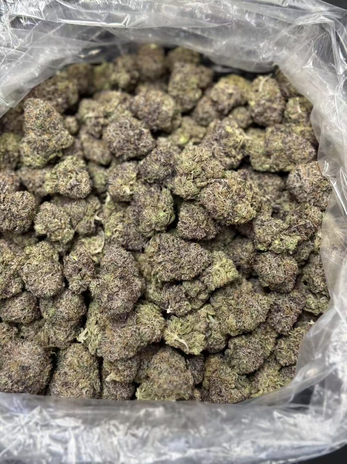 9fc102c9ff1cdfbf5cabfdb3026bc130