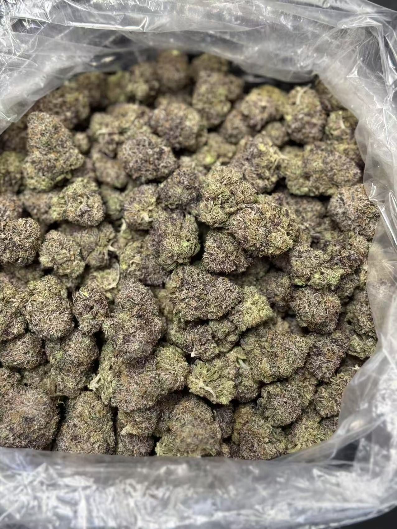 9fc102c9ff1cdfbf5cabfdb3026bc130