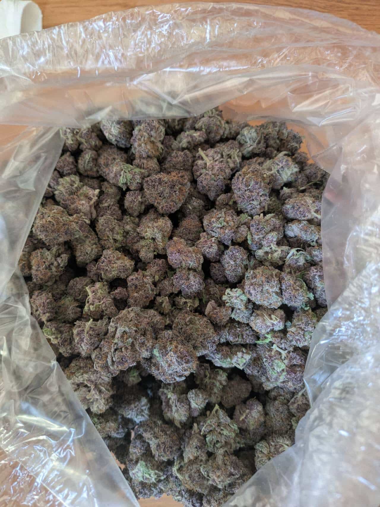 d129aa7f720d5a8d137430769bffb8f6