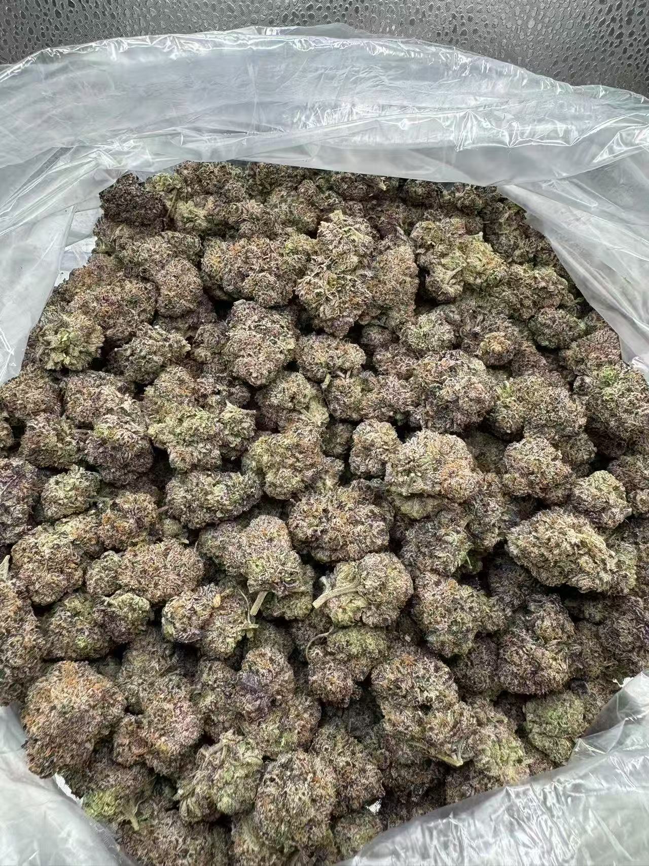 6994f69e9734ce2bb38539f153d75c1f