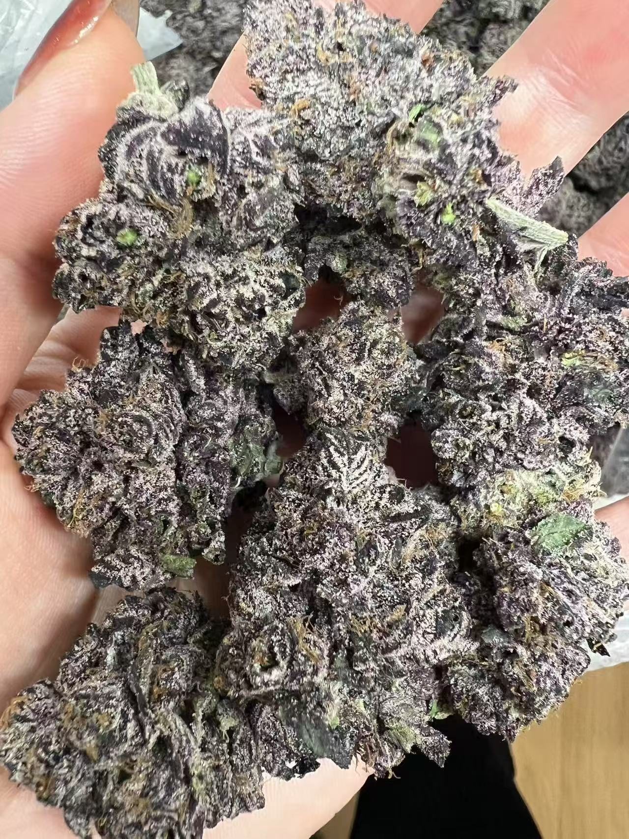 37e2f8ddce829de4925703a6324f21fb