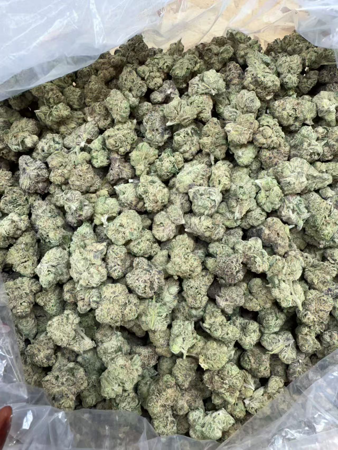 6359f6b73d1219f25ba6d98bcfbf4b6f