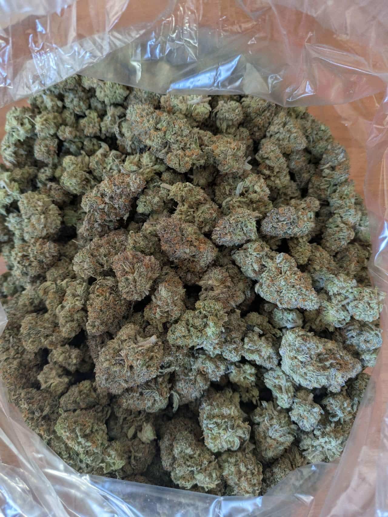 58999a029e8afc50605c35e494bd2a90