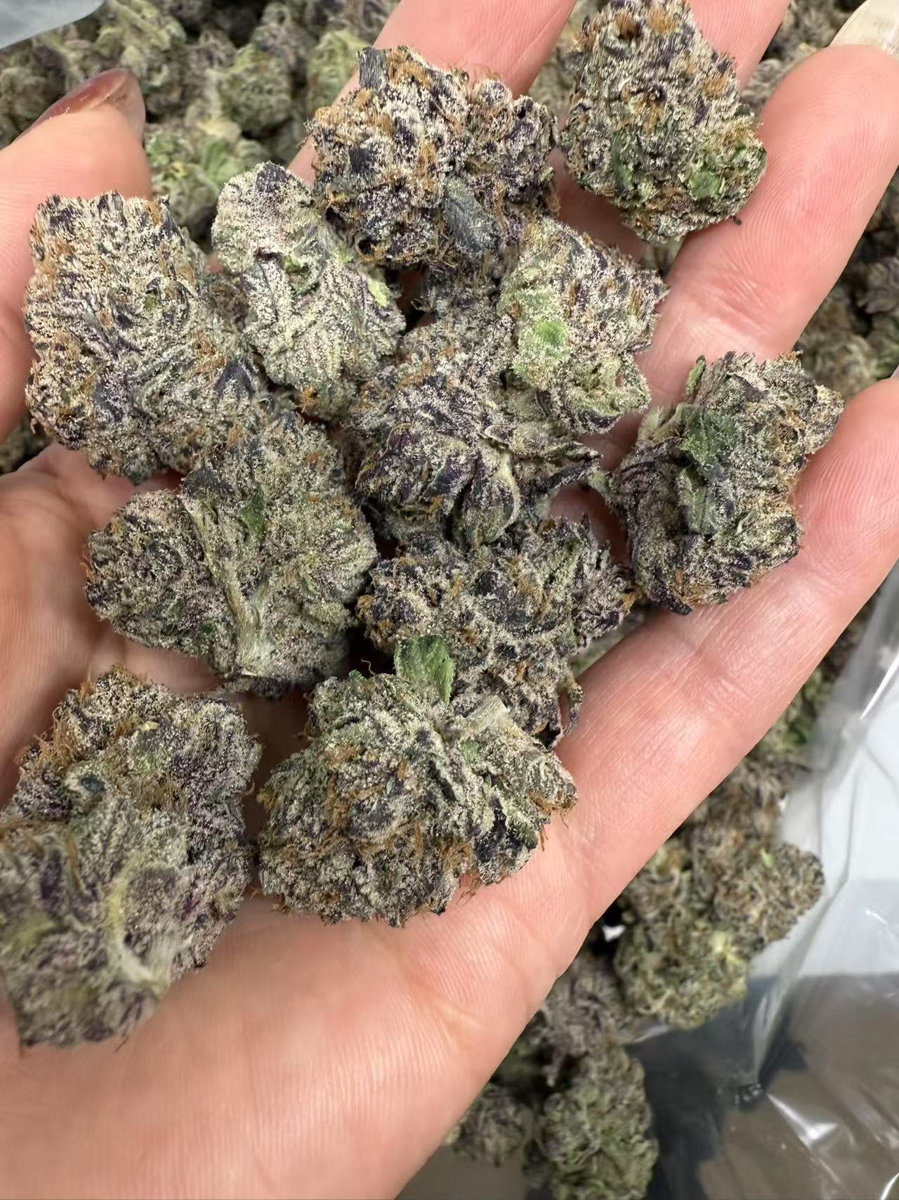 542b0f8251877cfad628c2149b7d9dd3