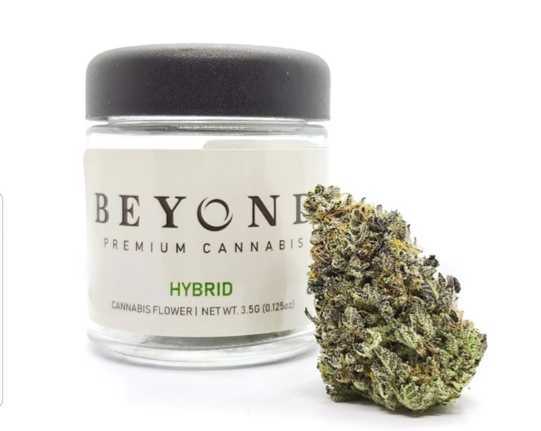 WhatsApp Image 2024-02-22 at 12.30.00 PM (1)