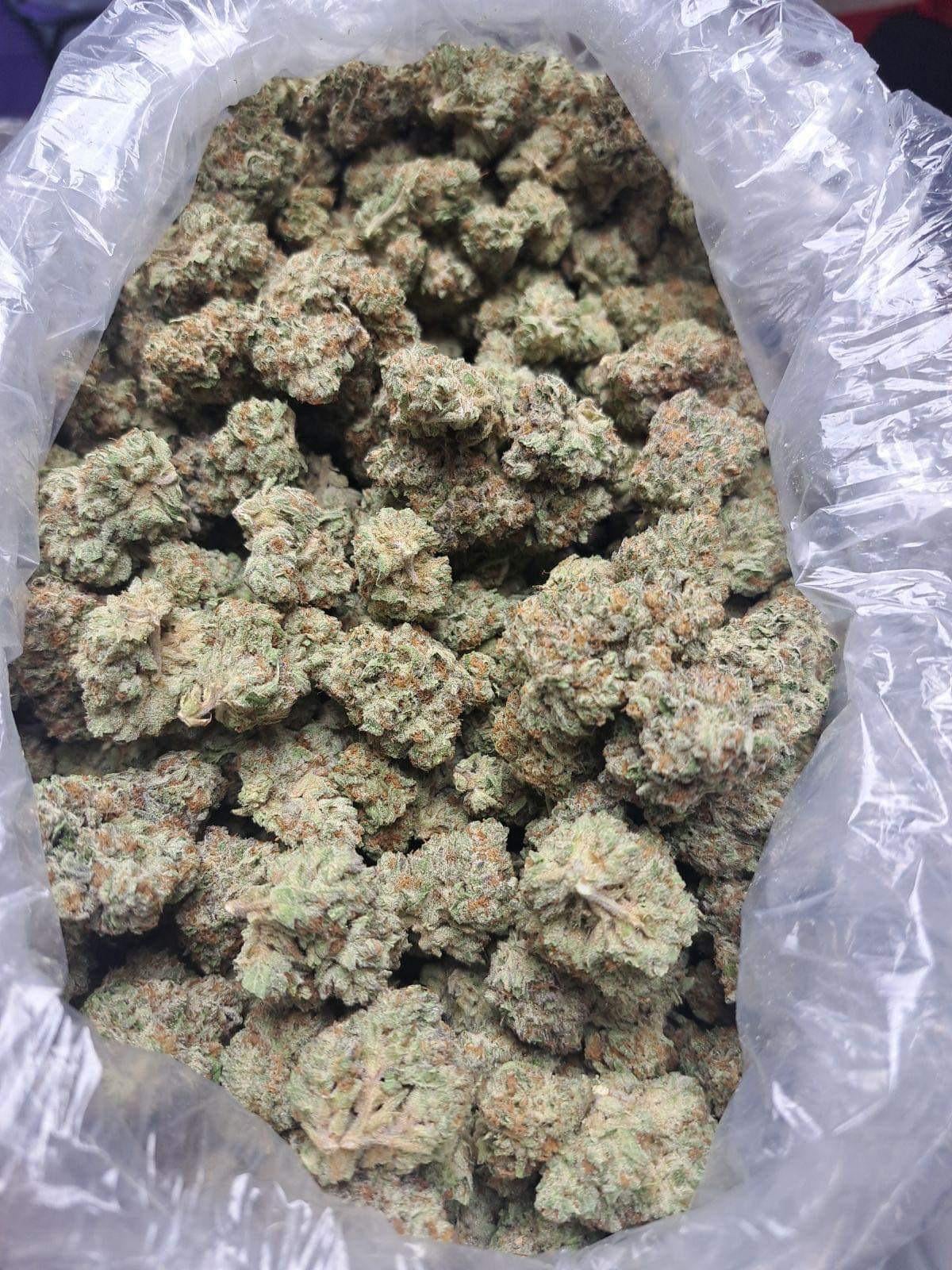 i-introduce-you-to-pink-runtz-v0-yfuvpppgqwzc1